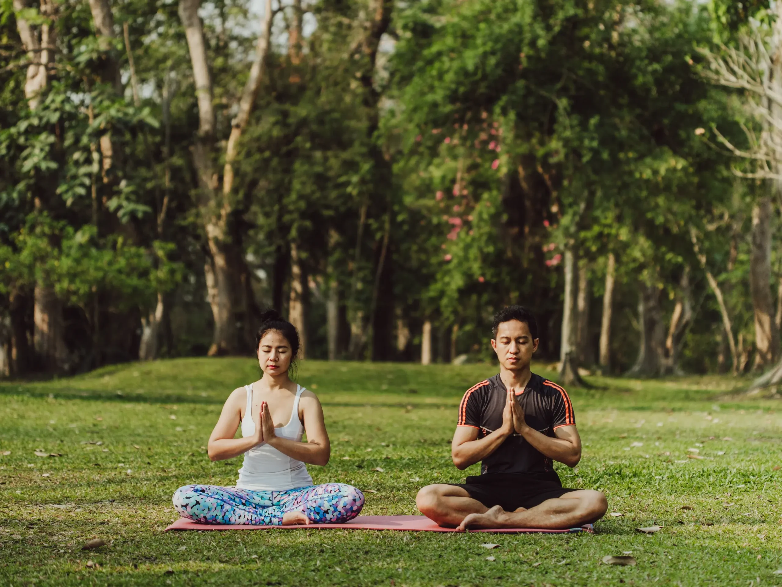 Optimisme Ekonomi dan Kesehatan Indonesia 2026: Tren Peningkatan yang Menggembirakan